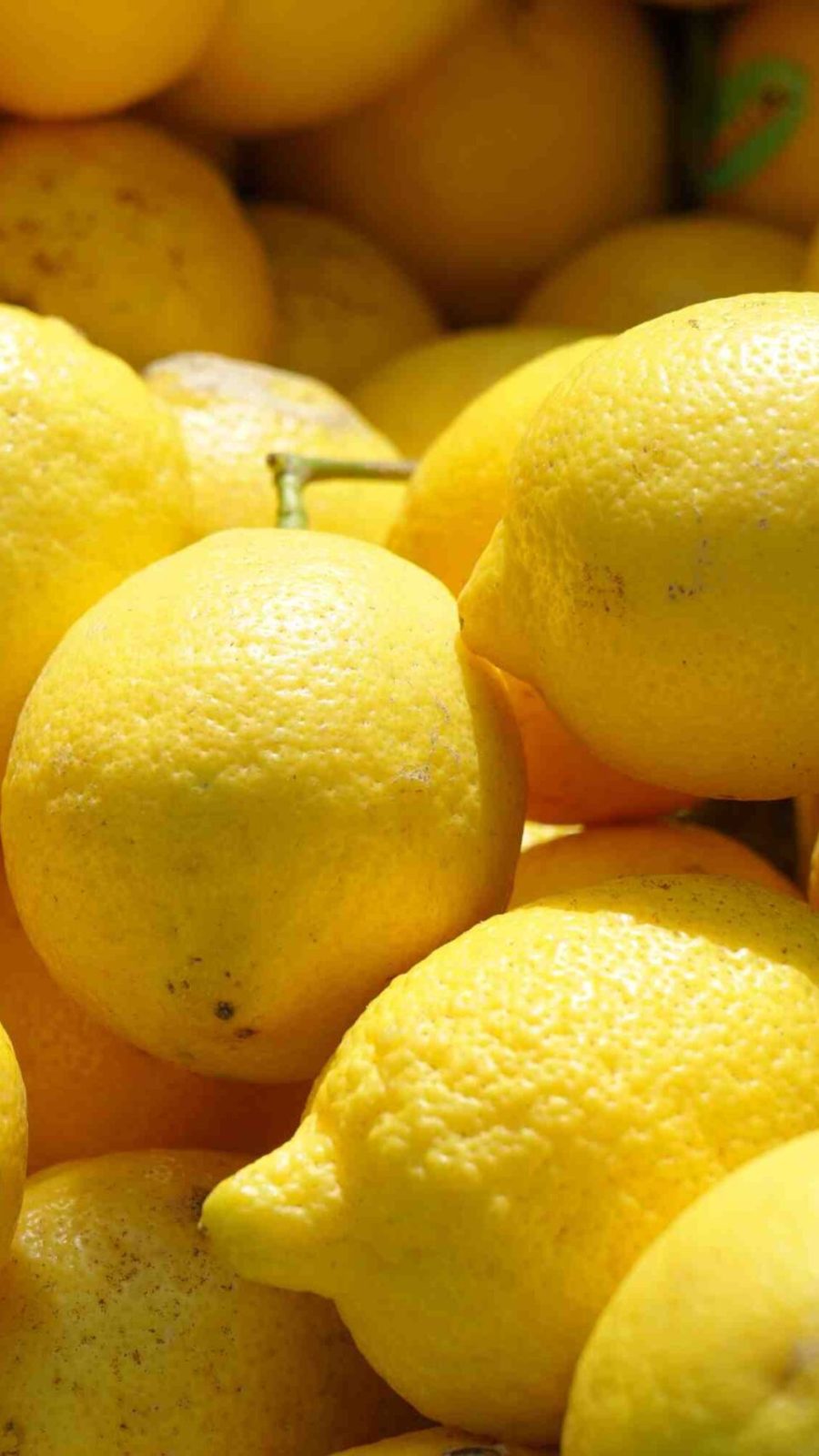 limoni-sardi (2) Limoni sardi